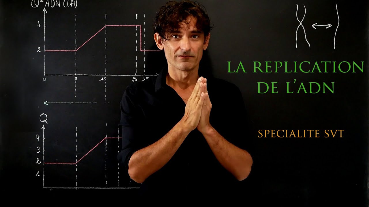 la réplication de l'ADN