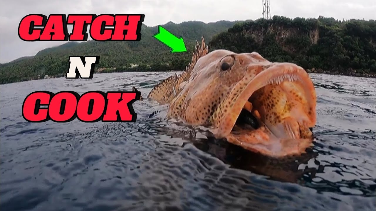 CATCH N' COOK || SPEARFISHING PHILIPPINES || MARBLED GROUPER!