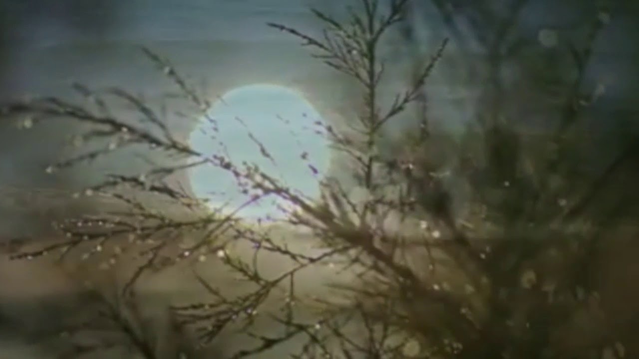 Aslıhan Gürbüz - Al Yazmanın Oyası
