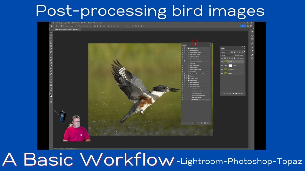 Basic Post-processing Workflow for Bird Images - Lightroom Classic, Photoshop,  Topaz DeNoise