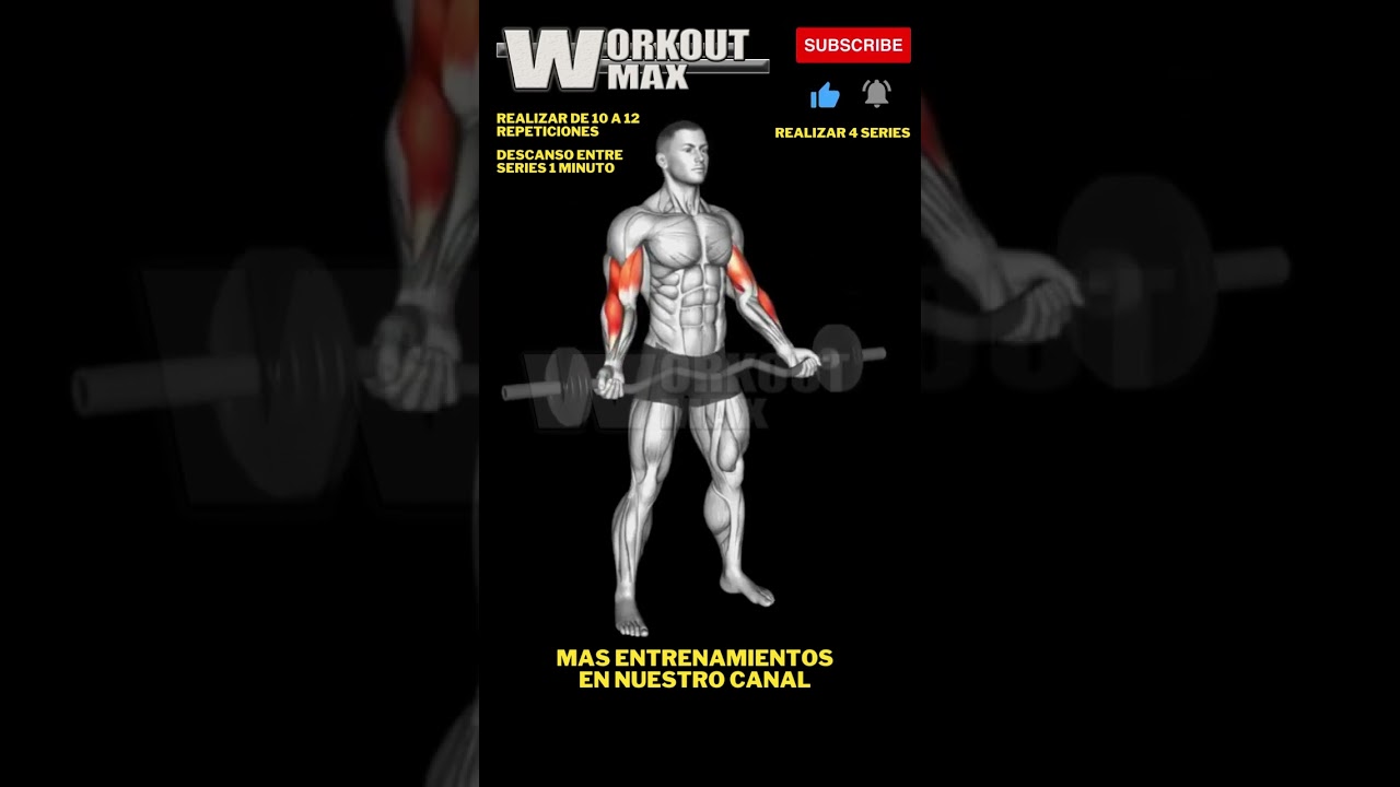 CURL DE BICEPS CON BARRA Z AGARRE ANCHO BICEPS CURL WITH WIDE GRIP Z-BAR #shorts #biceps #barra z
