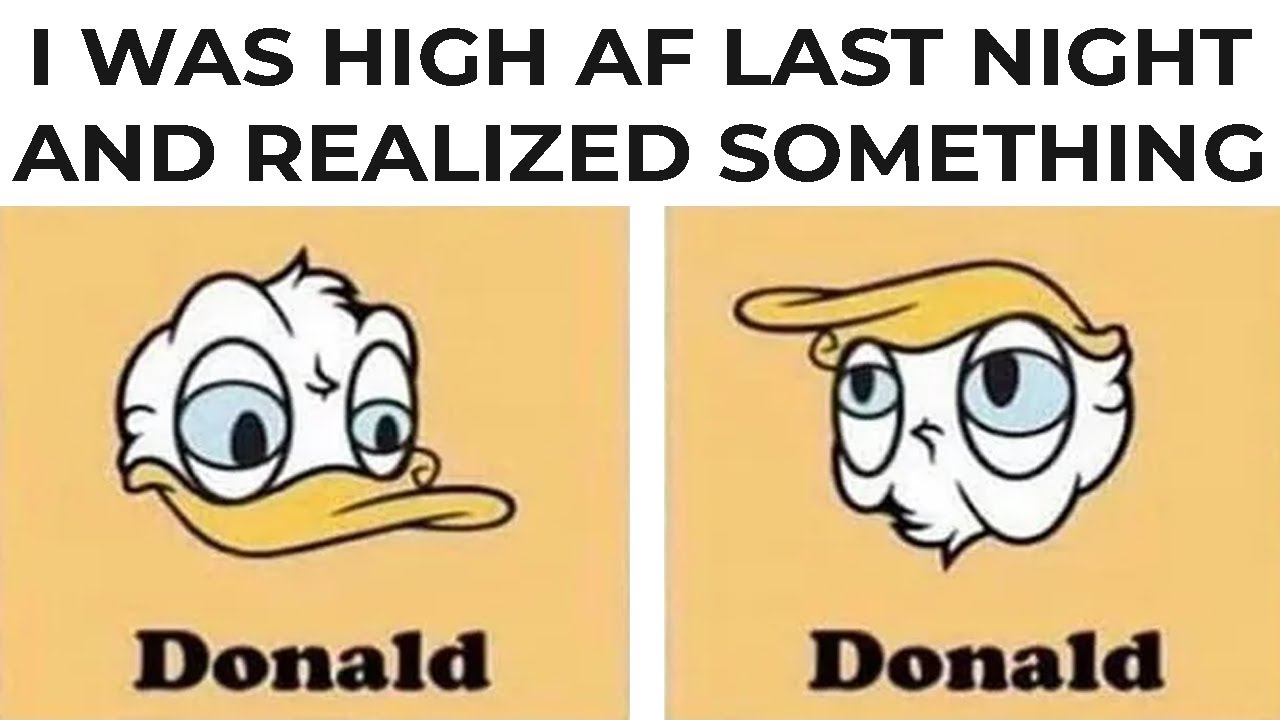 DAILY DOSE OF MEMES 559