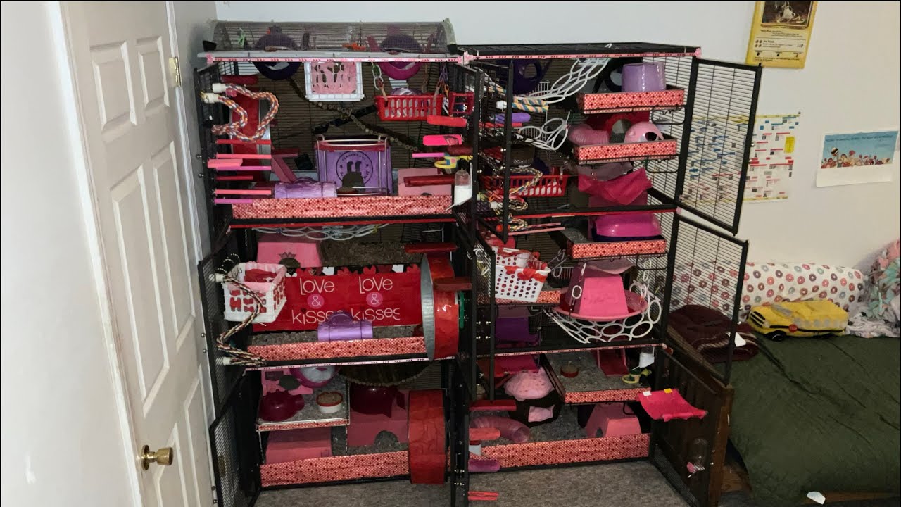 Six Unit CN Rat Cage Tour Valentine's Day Theme 2024!