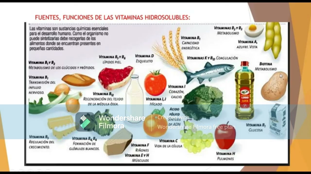 EL AGUA LOS MINERALES Y VITAMINAS