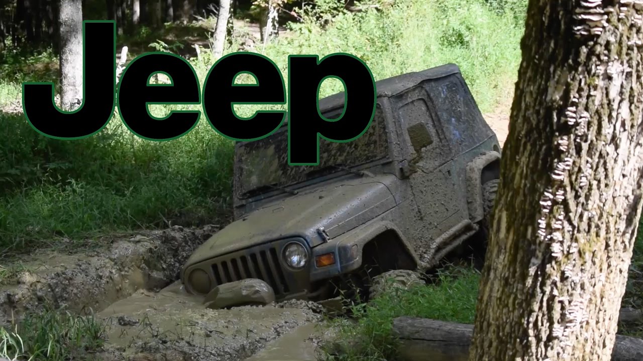 Wheeling at Dirty Turtle Offroad [Jeep]