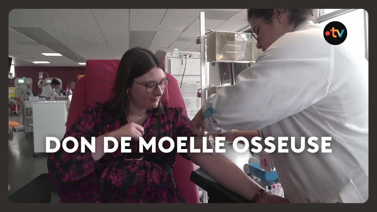 Don de moelle osseuse :  recherche surtout des hommes jeunes pour rejoindre le fichier de donateurs.