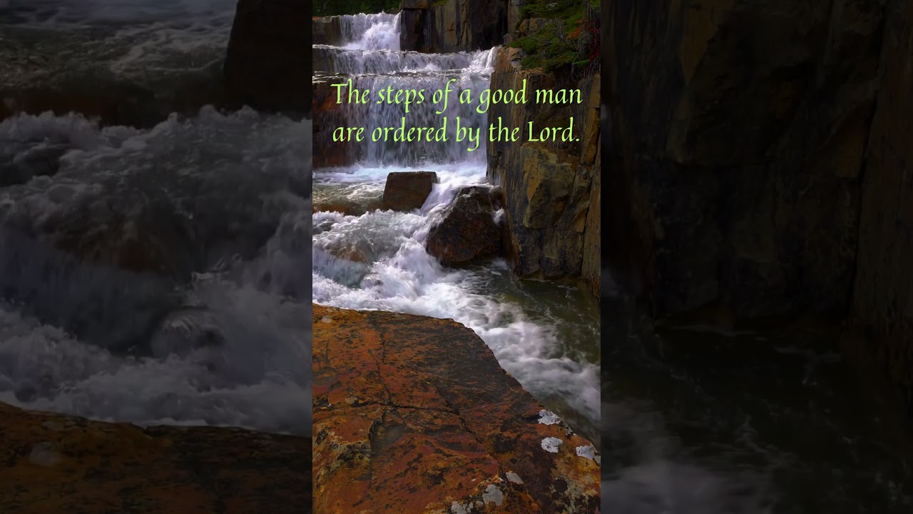 Every step you take is ordered by God #faith #psalms #believer