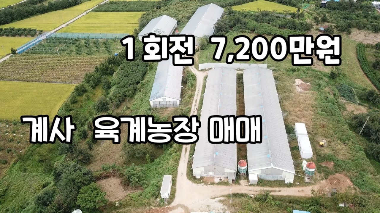 경상북도 육계농장 12만수 1회전 7200만원의 수익을 안겨 드립니다.조류독감 없는 청정지역