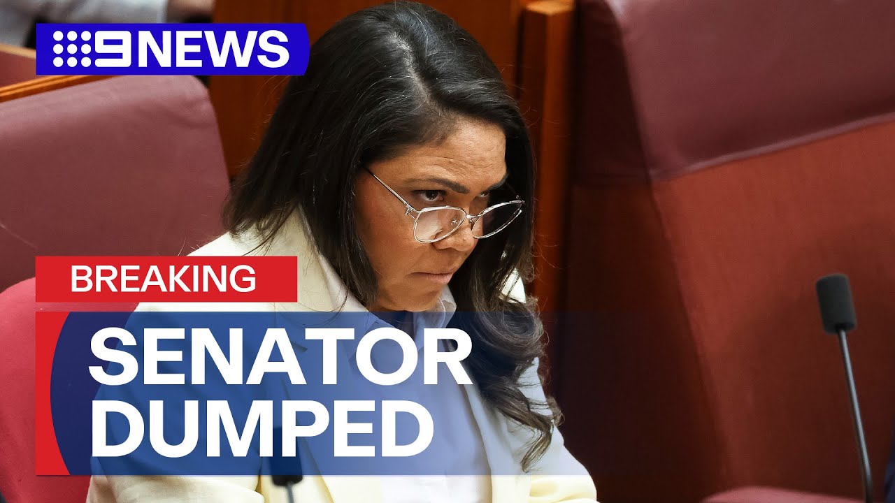 Under-fire senator dumped after Indian immigration comments | 9 News Australia