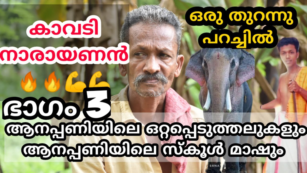 kavadi narayanan new video ആനപ്പണിയിലെ ഒറ്റപ്പെടുത്തലുകളും  ആനപ്പണി ചെയ്യുന്ന സ്കൂൾ മാഷും #kavadi