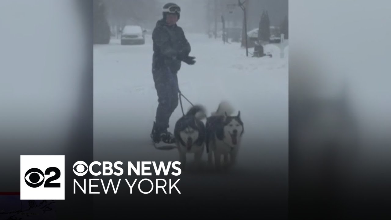 Dogs pull owner on skis during snowstorm in New Jersey