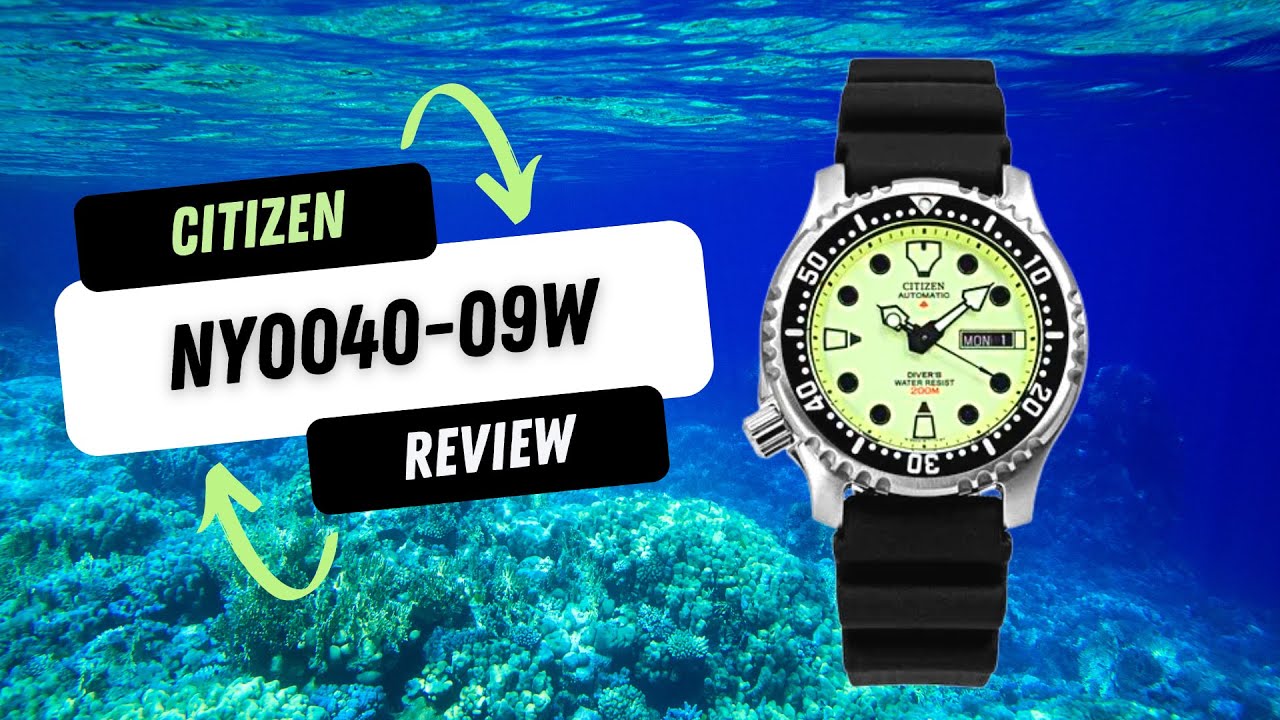Citizen NY0040-09W Promaster Full Lume