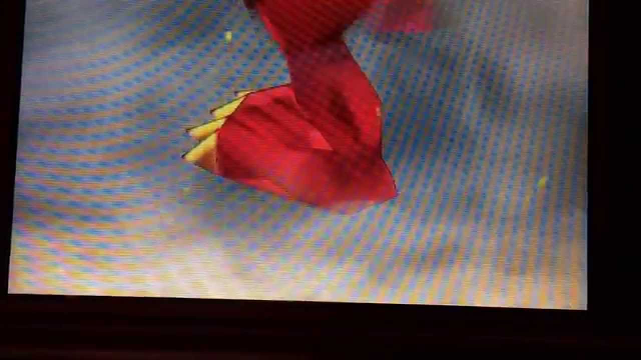 たいめづづぬのず