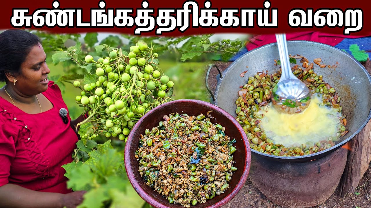 சுண்டங்கத்தரிக்காயும் முட்டையும் சேர்த்து அருமையான வறை | Our Village life ♥️ | vanni vlog