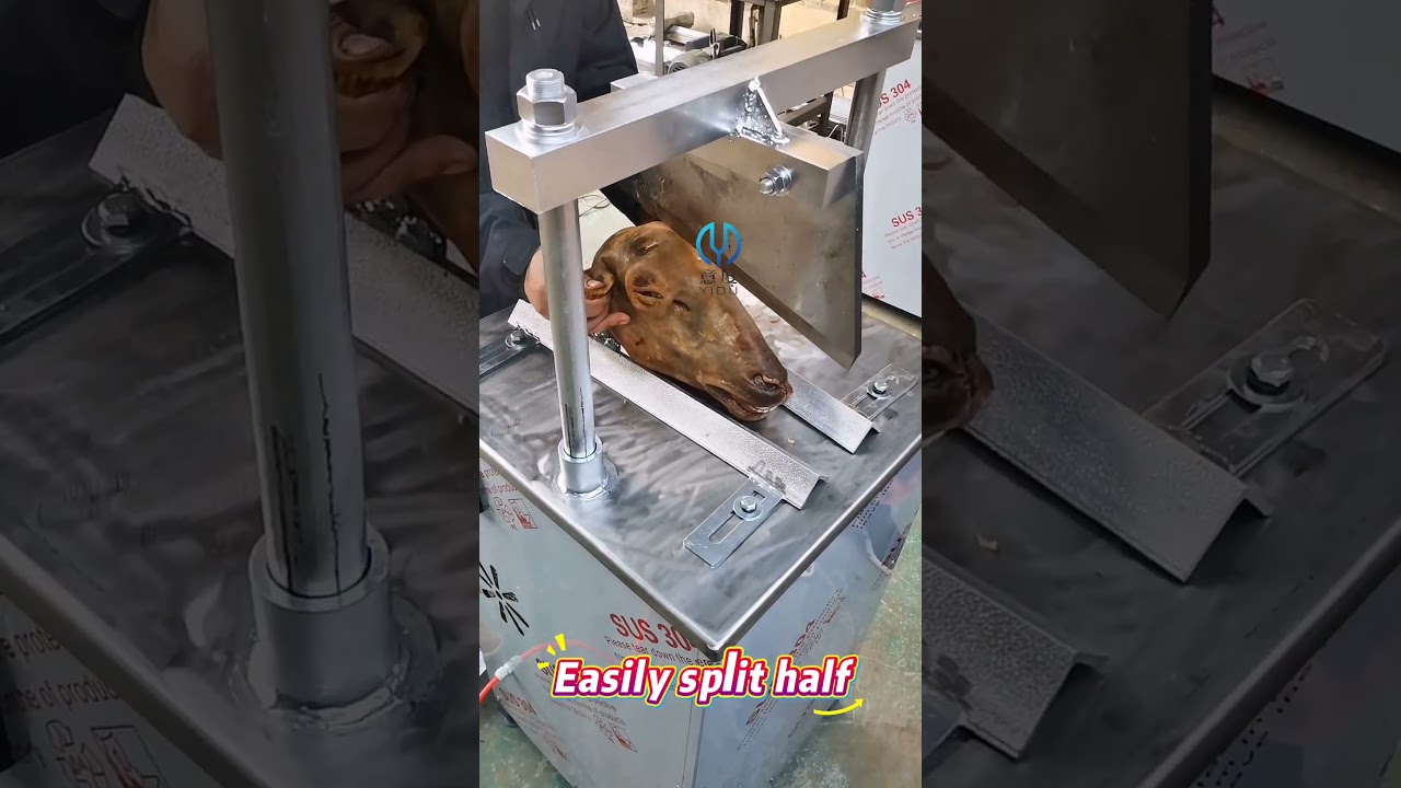 Pig head splitting machine,Bovine brain extraction machine. #Pigheadsplittingmachine