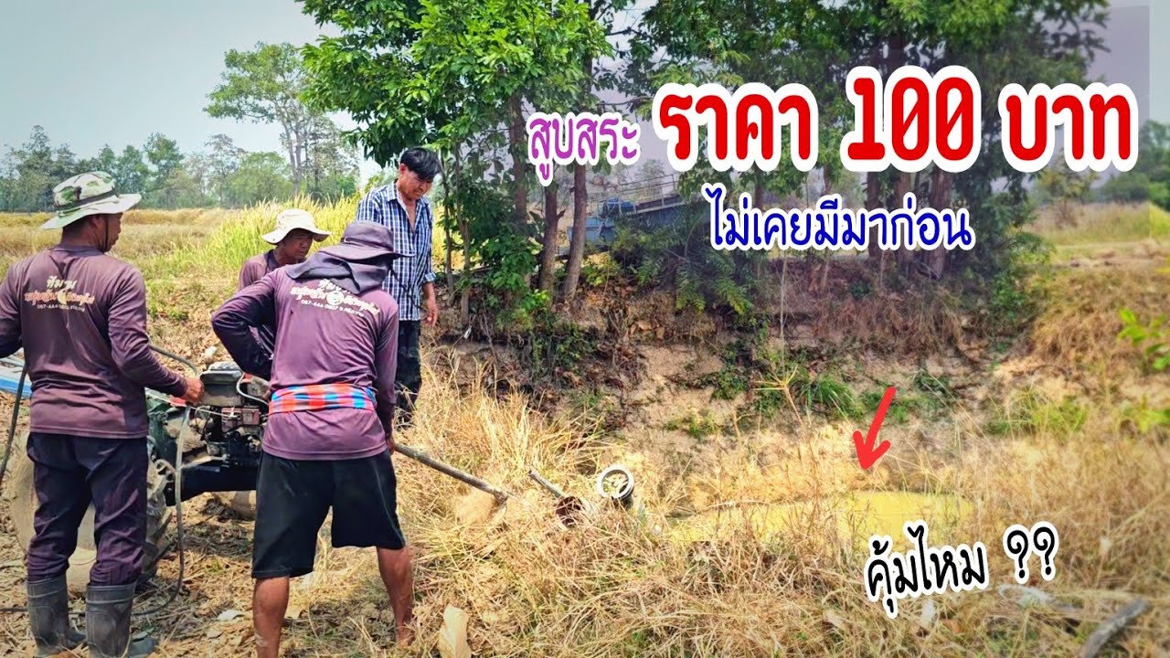 ไม่เคยมีมาก่อนสูบสระมือสองราคา 100฿ ระทึกทุกวินาทีปลาช่อนใหญ่รวมกันจุดเดียว