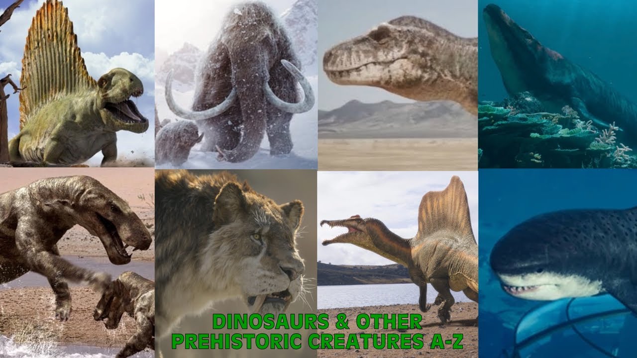 Dinosaurs & Other Prehistoric Creatures A-Z