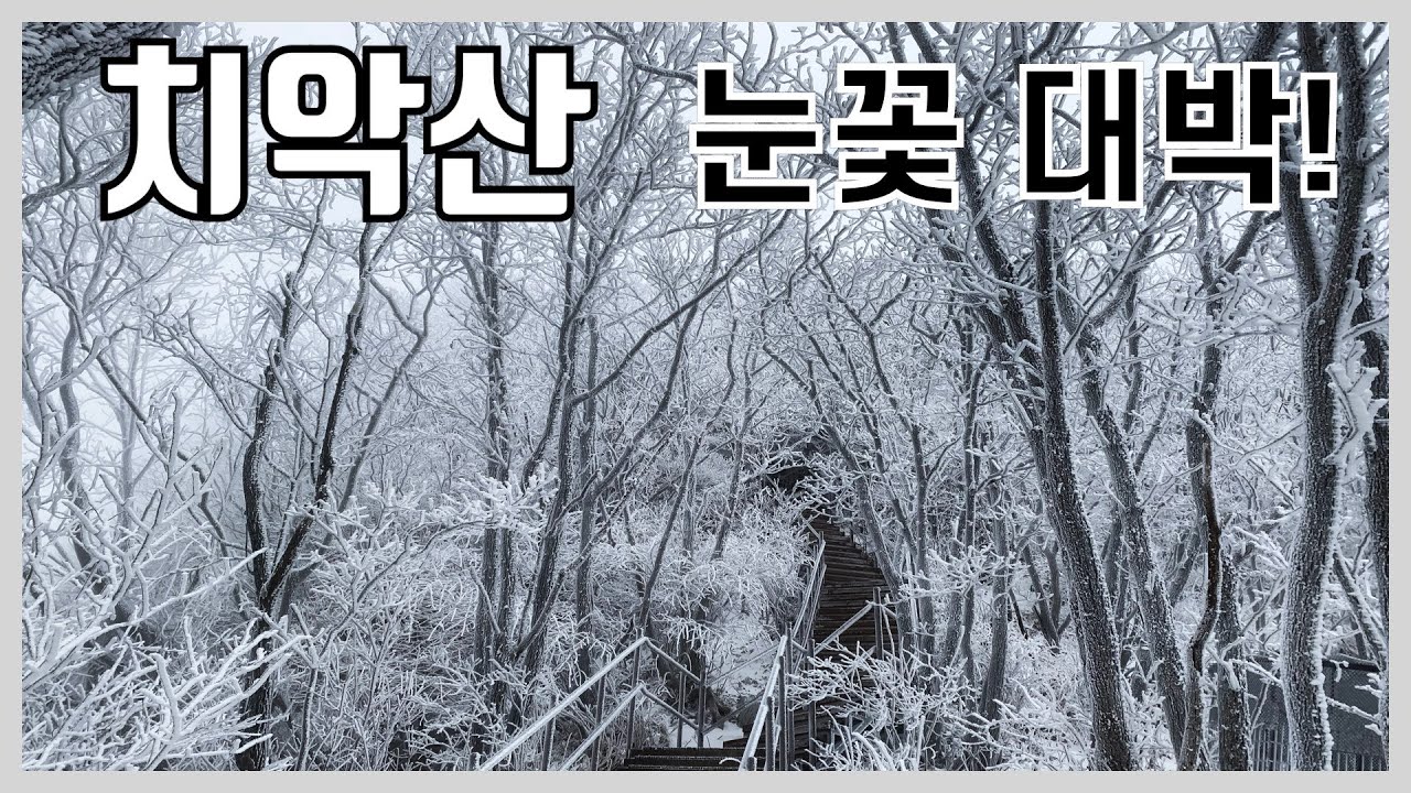 치악산 황골 코스 등산 가이드