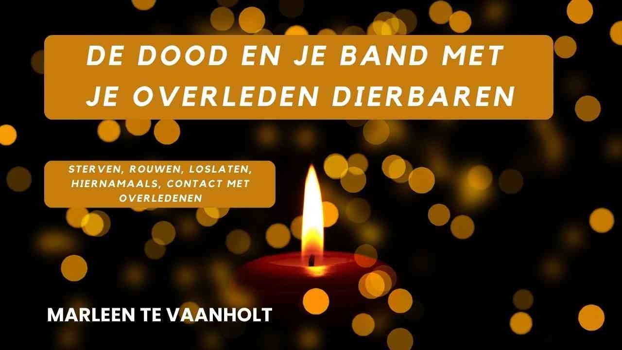 Doodgaan, contact met overleden dierbaren, rouwen en het hiernamaals