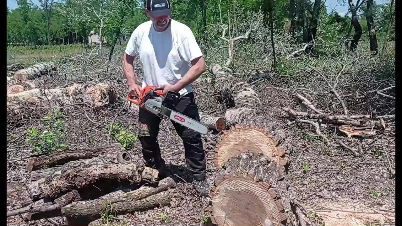 Hétvégi erdős mozi ,avagy  a mindent is verő Stihl 661 C-M bemutatkozik.