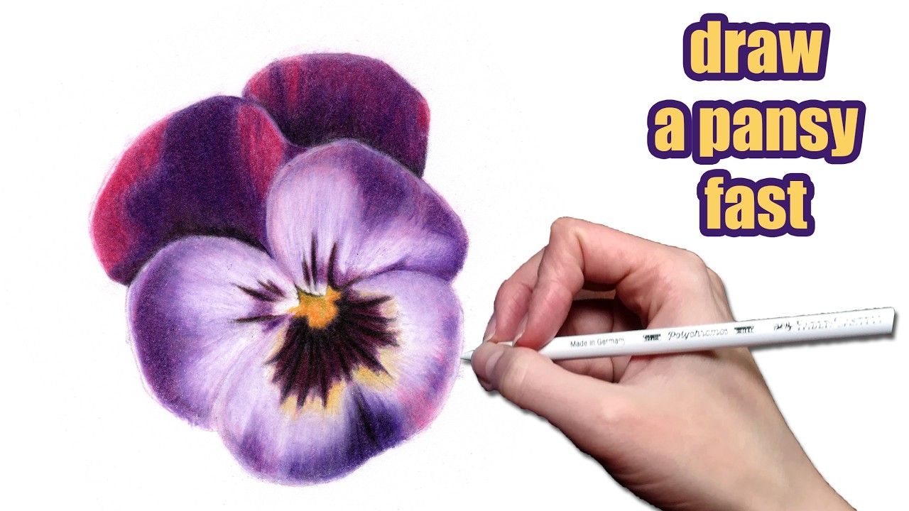 Can You MASTER Drawing a Pansy in 5 Minutes? | Speed Drawing