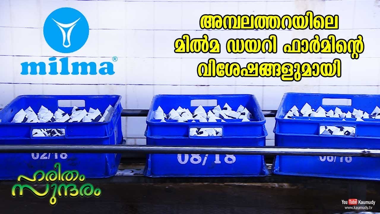 New features of Hi-Tech MILMA dairy farm at Ambalathara,Trivandrum | Haritham Sundharam EPI 233