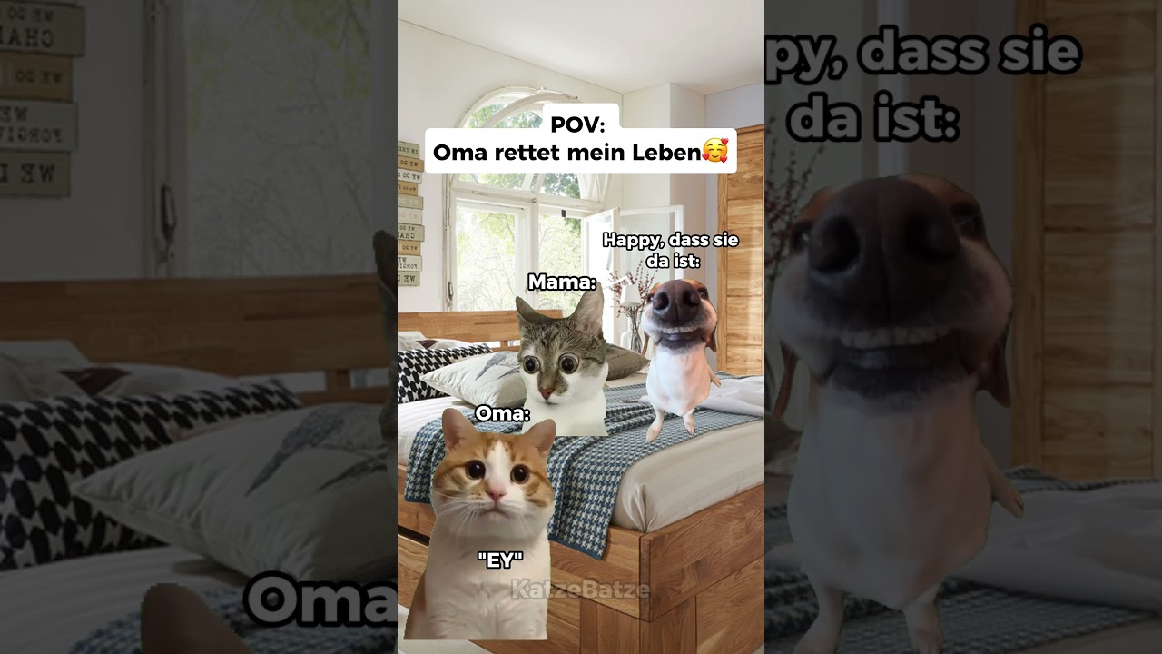 POV: Oma rettet mein Leben🥰  #Oma #catmeme #katzebatze #katzenvideos #katze #mama #kindheit