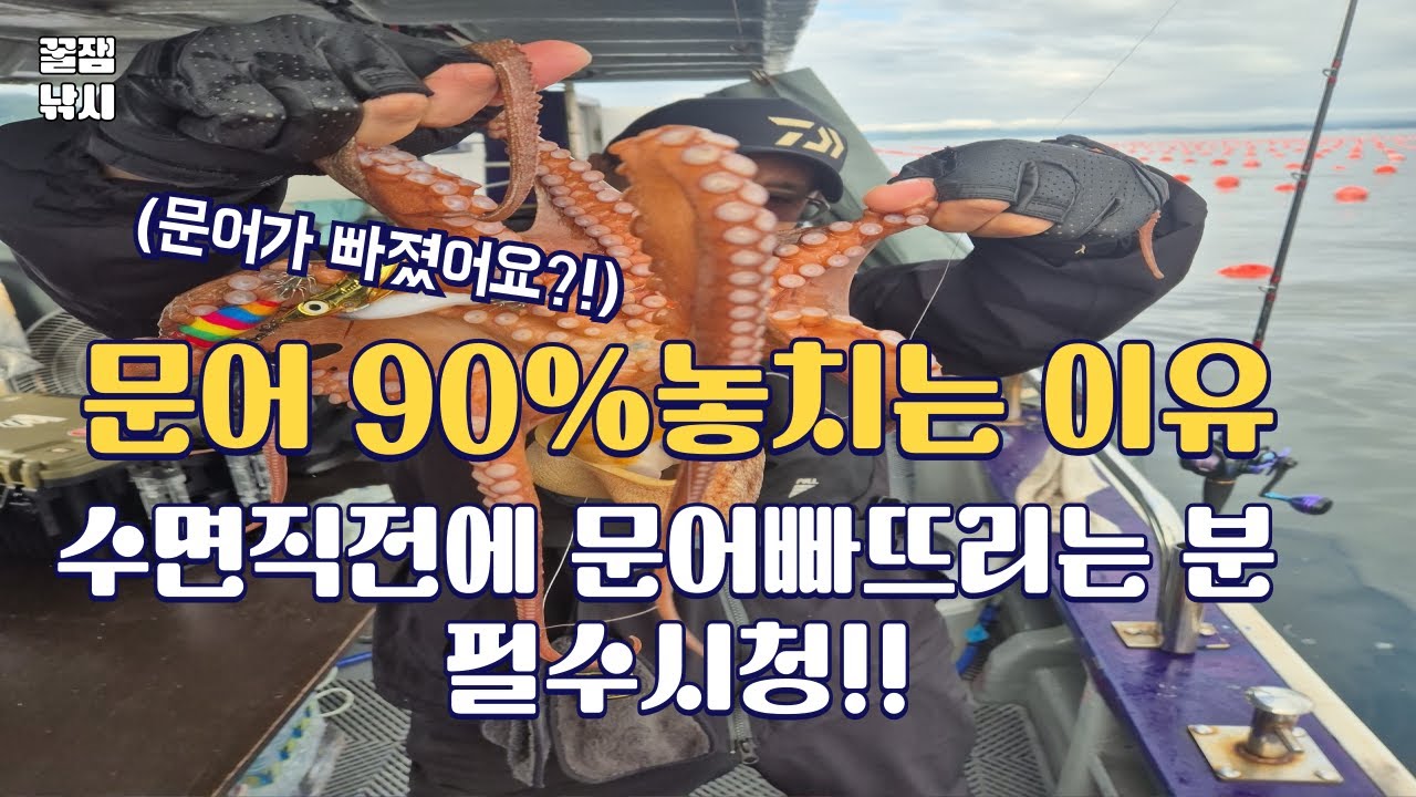 문어 90% 놓치는 이유 | 수면 직전 빠지는 문어 절대 안 놓치는 법