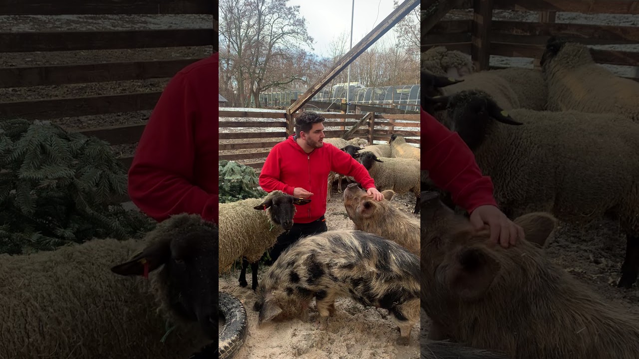 Tierpflegeschule an der Veterinärmedizinischen Universität Wien