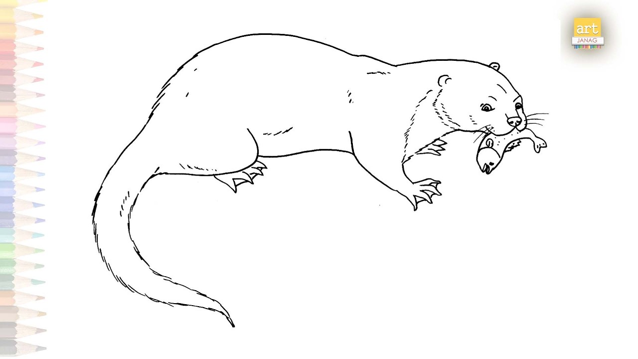 Eurasian otter drawings easy | Outline sketches | How to draw A Eurasian otter holding a fish simply