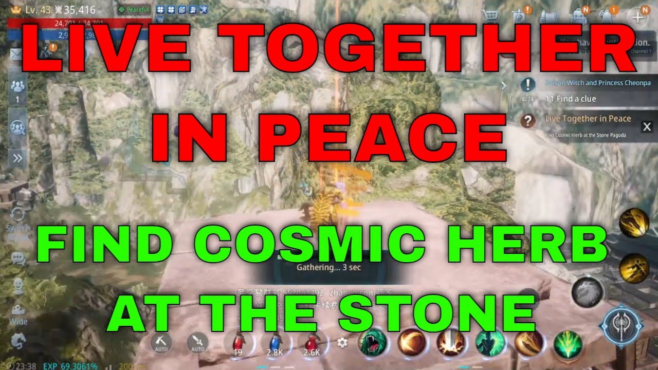 Mir4 Request Quest Clue: Live Together in Peace Find Cosmic Herb at the Stone Pagoda Guide