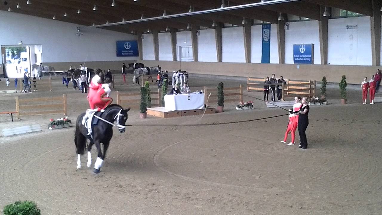 Ampertal 1 Pferd International 2015