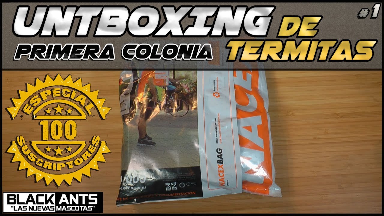 UNBOXING PRIMERA COLONIA DE TERMITAS