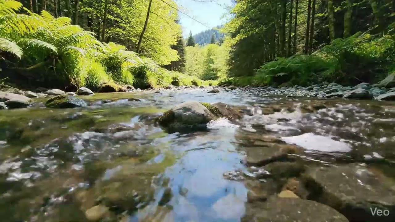 The Most Relaxing River Sound You’ll Hear Today | Pure Nature ASMR