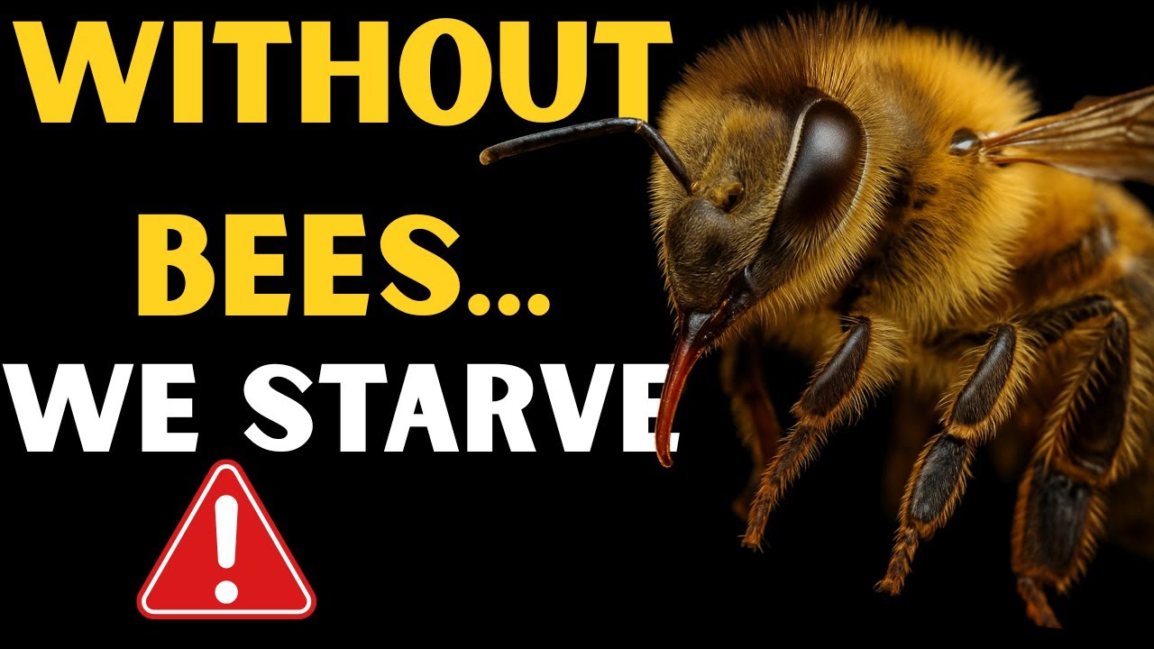 IF BEES DIE, WE DIE!