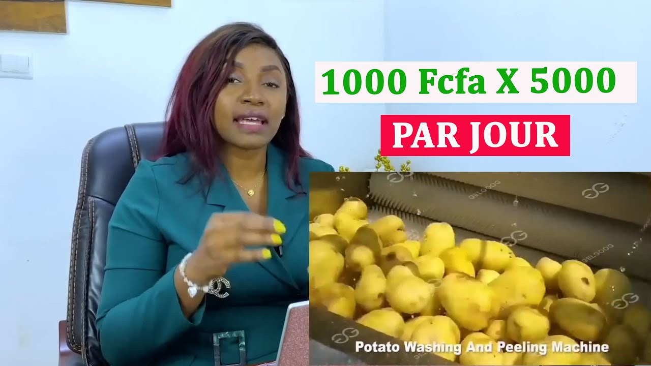le business des chips des pommes de terre peut rappporter 20 millions  [d'assise lylson business]