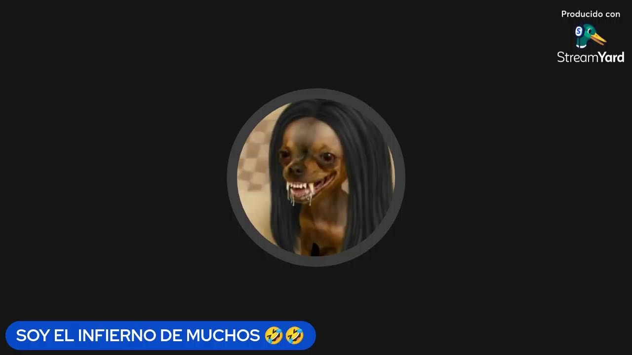 5 MILLONARIOS DIERON 100 TAMALES🤣ENBARADOS DE MASSA NADA MAS
