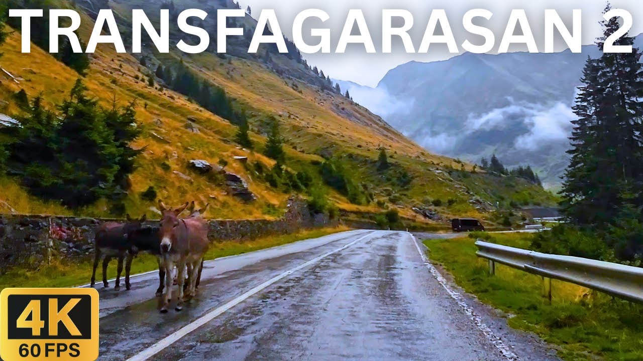 Transfagarasan Romania Scenic Drive 4K 🇷🇴 | Northern Part - Mountain Road (Best Road in the World)