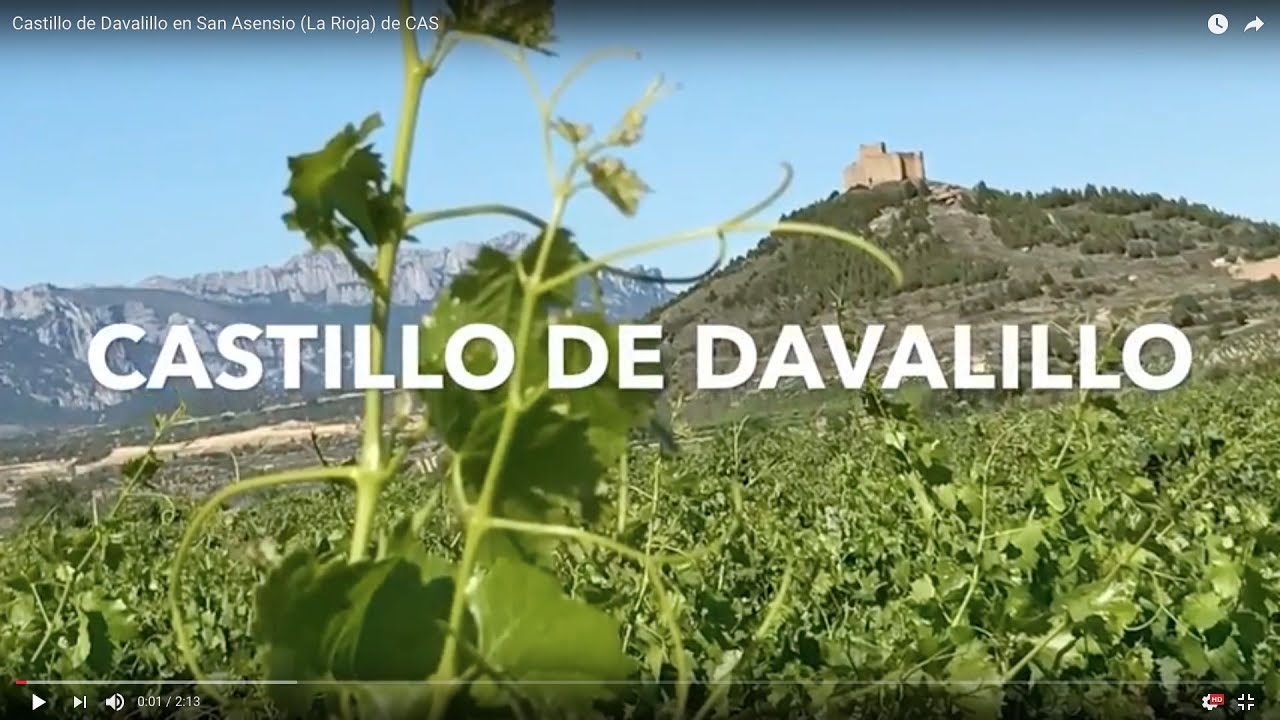 Castillo de Davalillo en San Asensio (La Rioja) de CAS
