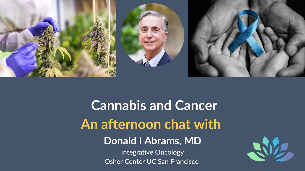 Cannabis and Cancer with Dr  Abrams