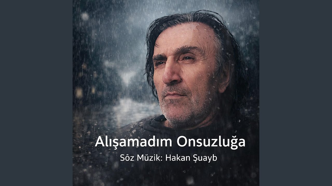 Alışamadım Onsuzluğa