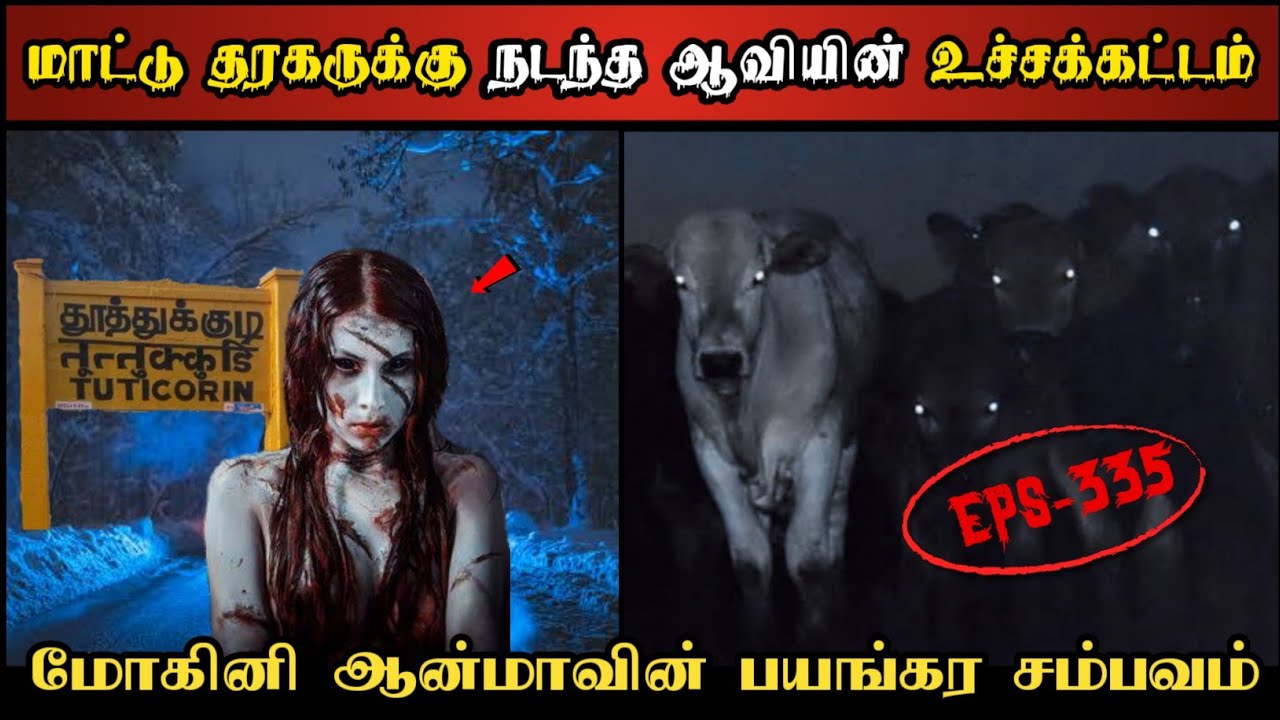 Real Life Ghost Experience in Tamil | மாட்டு தரகரை உருக்குலைத்த மோகினி..😱 | Shiva's Investigation