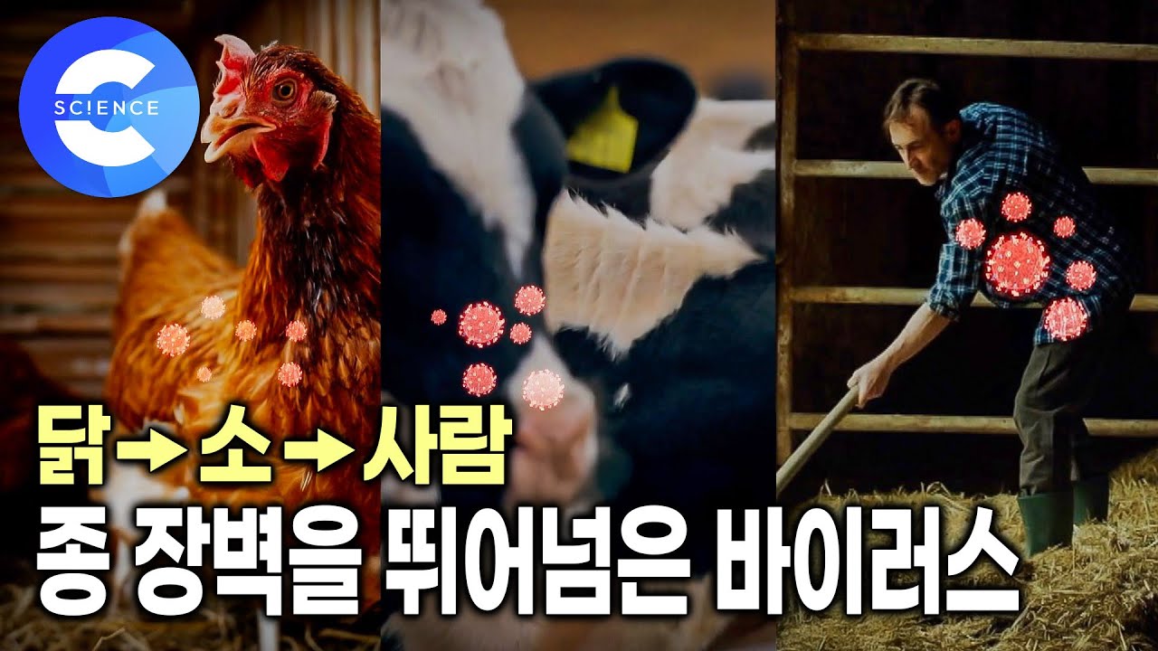 코로나가 끝이 아니라고?  다음 팬데믹은 언제 발생하느냐의 문제 | 백신 100일 미션 | 지식채널e