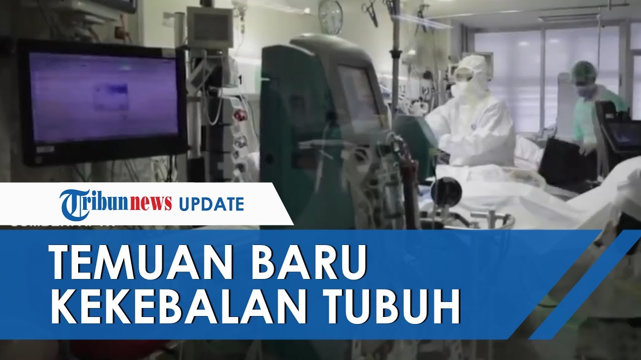 Harapan Penanganan Pasien Covid 19, Ada Temuan Baru Soal Kekebalan Tubuh