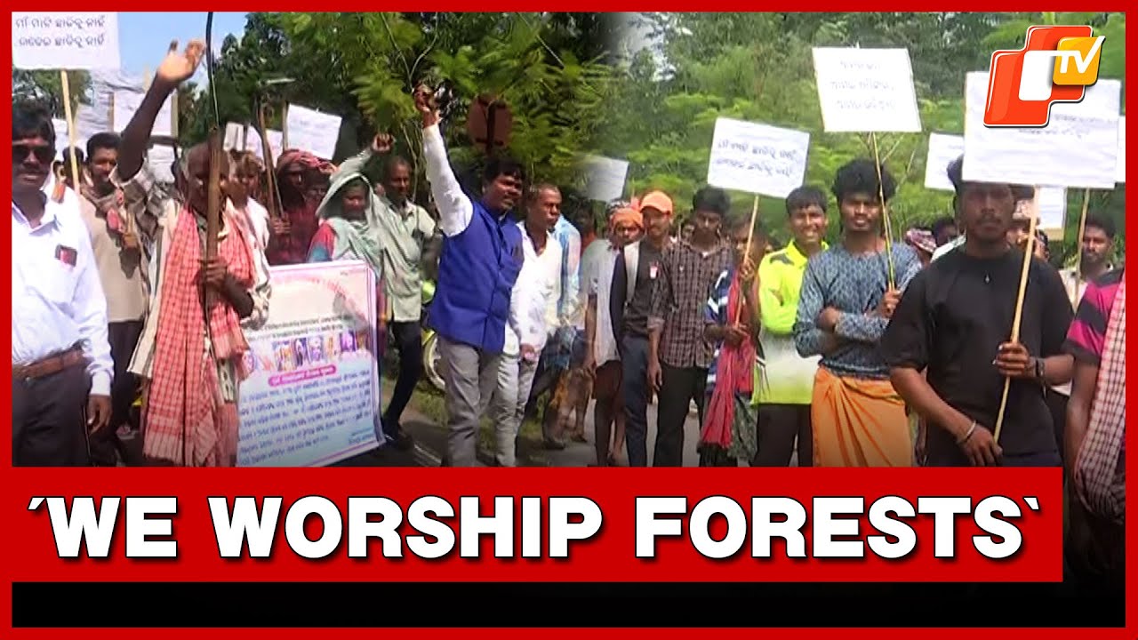 &lsquo;We Worship Forests&rsquo;: Tribals In Odisha Protest IDCO Land Acquisition | OTV