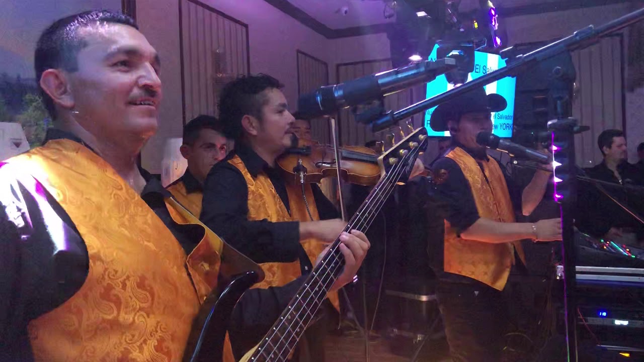 Los hermanos lovos en New York
