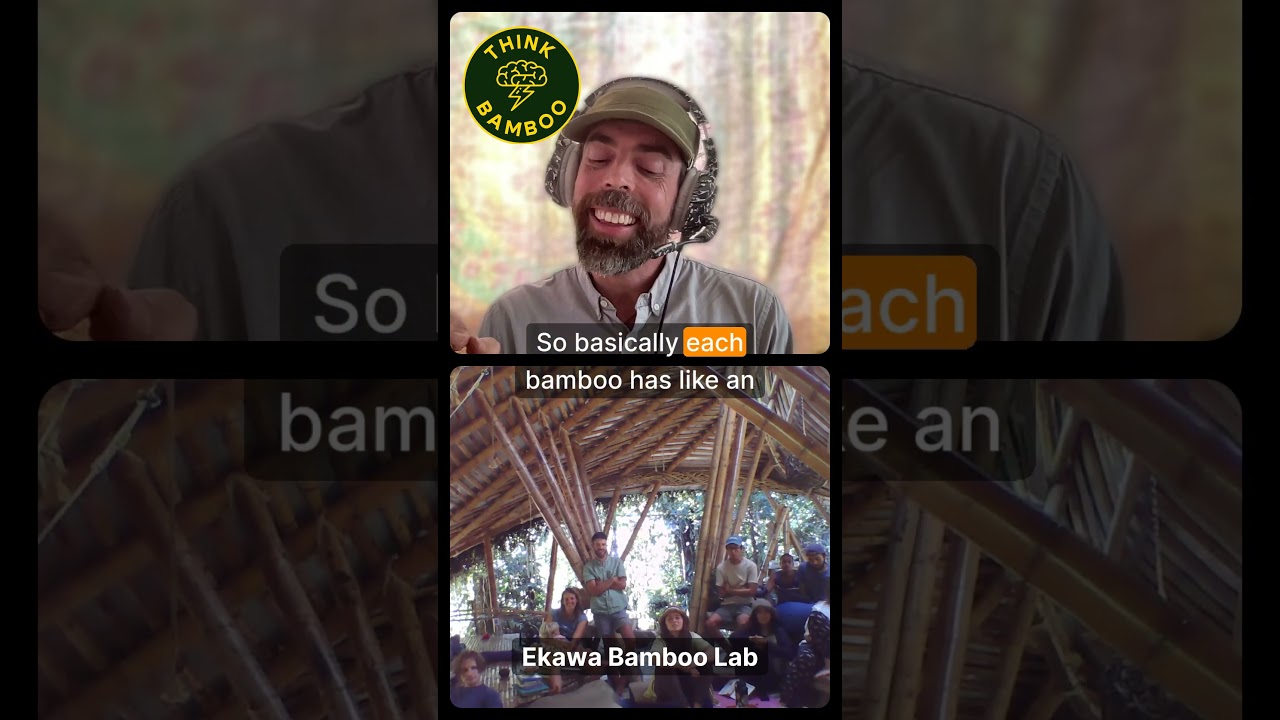 How Does The DNA of Bamboo Affect Its Lifespan? Q&A