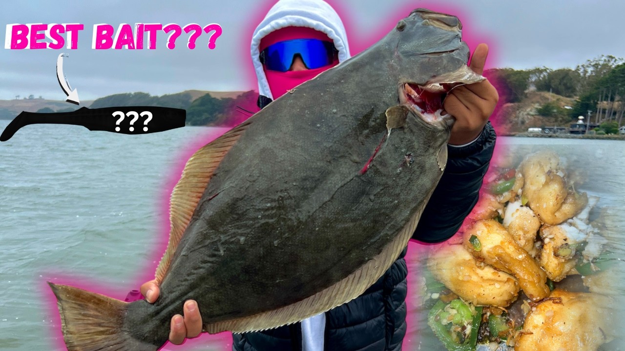 Catching a HUGE California Halibut on Swimbaits! | Catch and Cook Salt & Pepper Halibut!