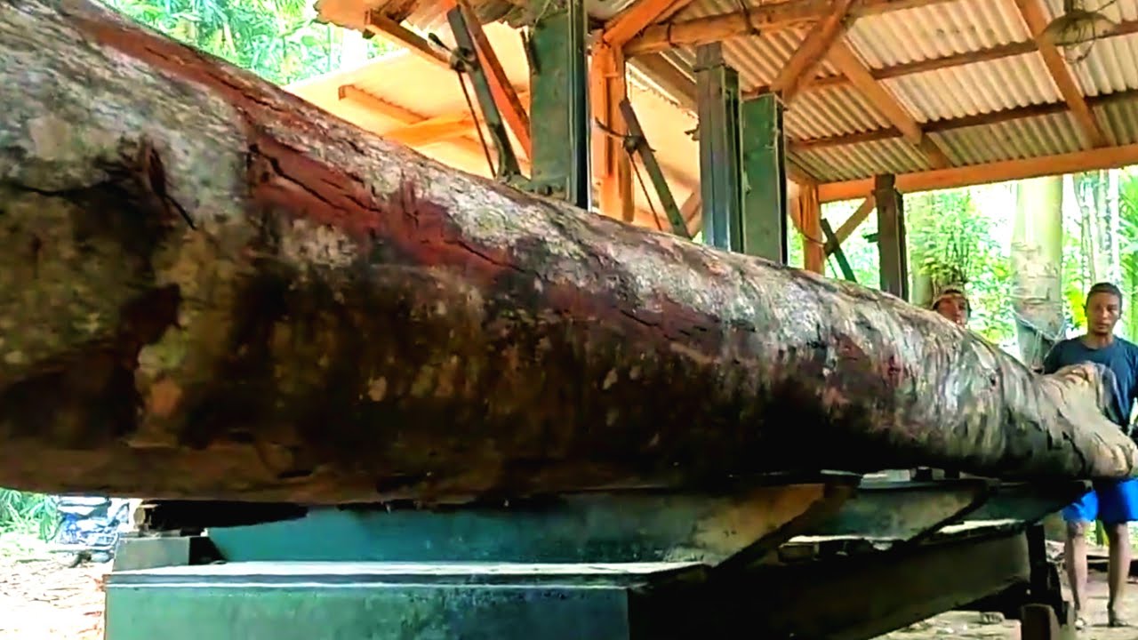 Amazing sawing the longest wood, hidden beauty 