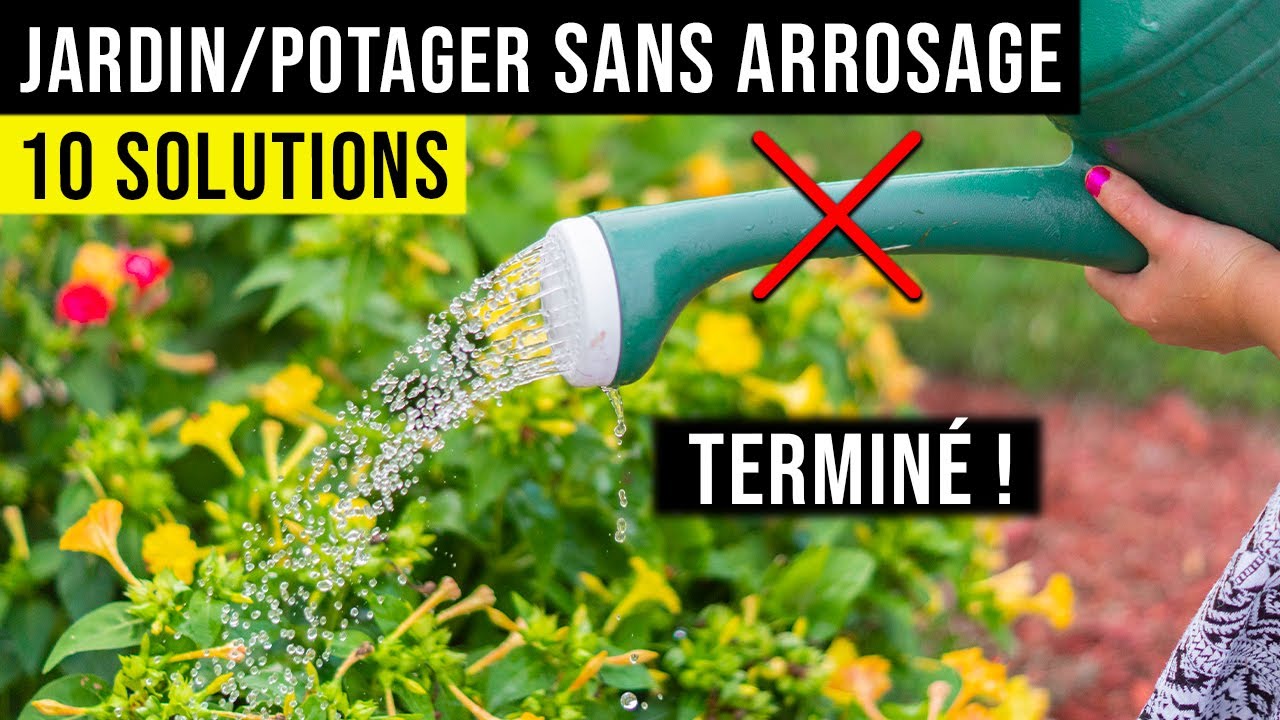Comment r&eacute;duire l'arrosage dans son jardin ?